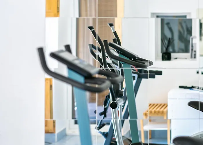 Des Dauphins 3*