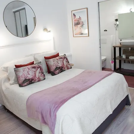 Hotel Des Dauphins Bourgoin-Jallieu